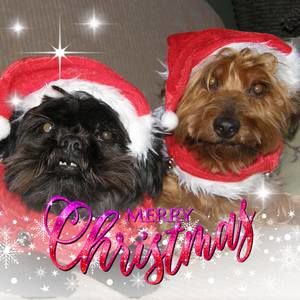 Meet your Posher, E maria